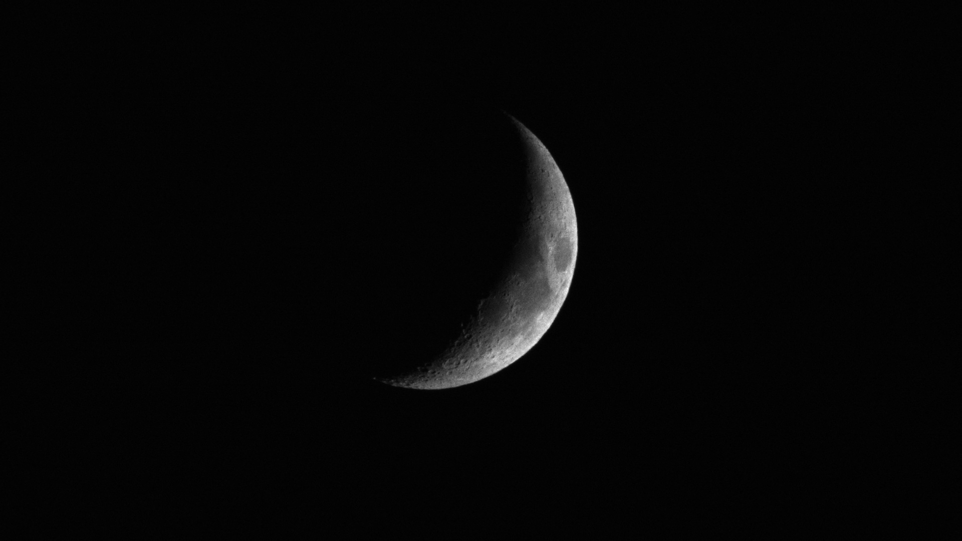Moon (1 exp)